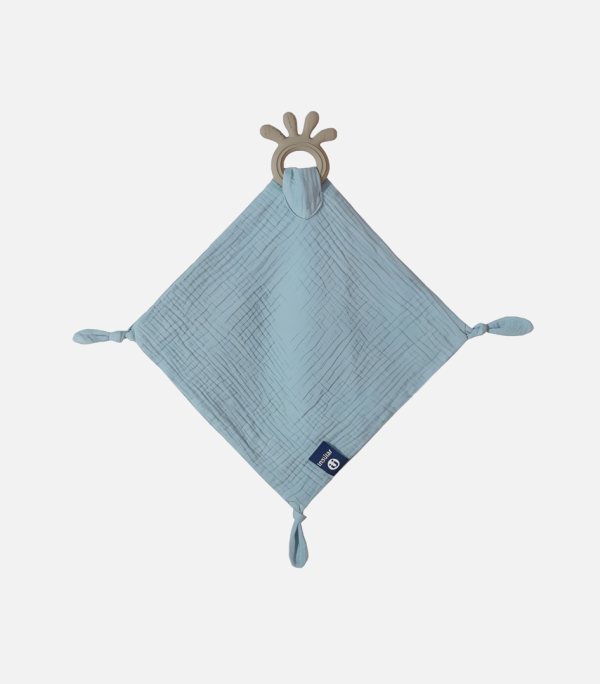 Screenshot 2024-11-07 160510 Screenshot 2024-11-07 160510